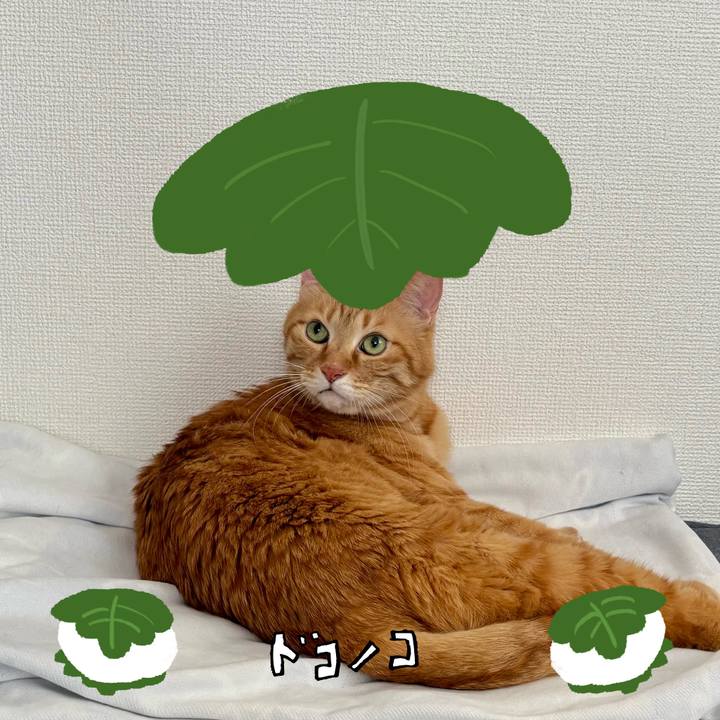 44ce7b92 ebb9 417d bf0b eea2e0ec7f4f 1749354005650