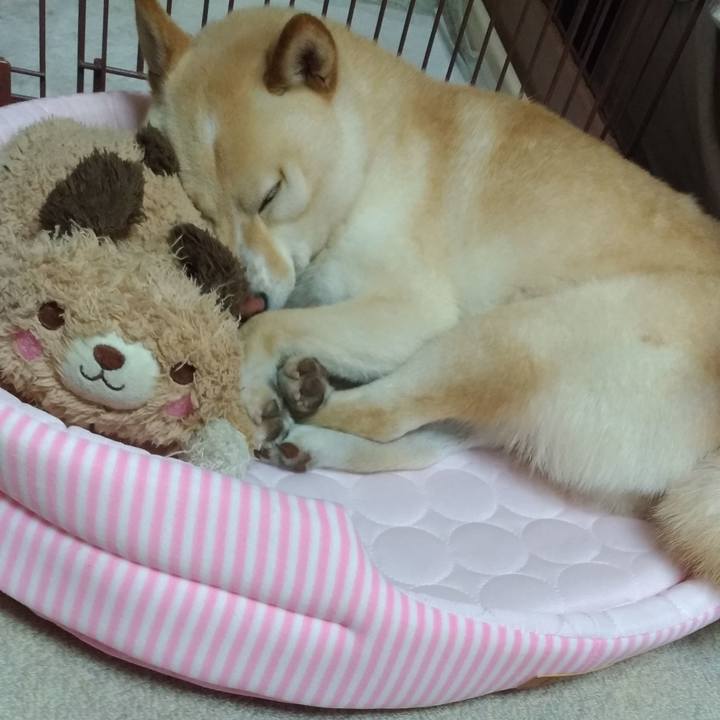 44ce9592 d25a 4914 a027 f114dd4a227a 1589282496888