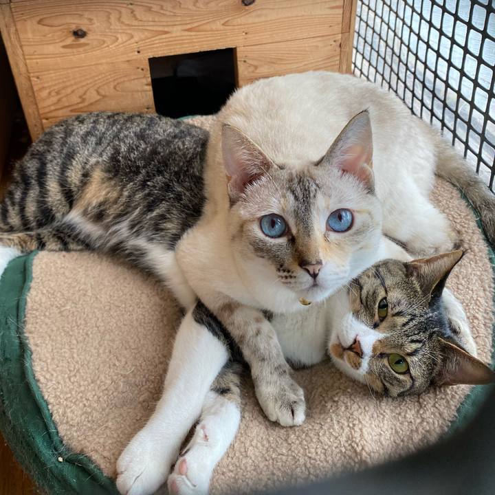 44cedf4c 3b69 46b8 aef5 fd0528452db9 1687309910903