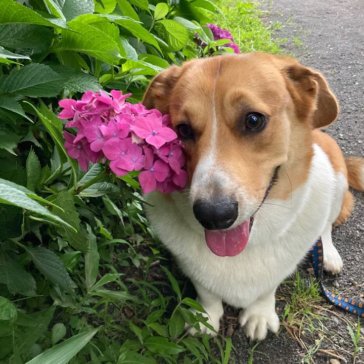 44cf085e eb65 4535 8f90 8236aa1f527a 1655468468217