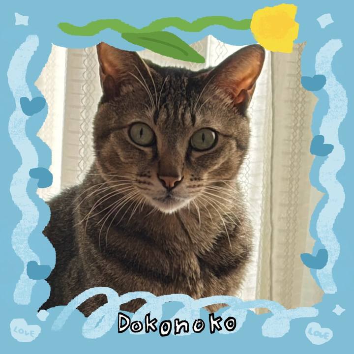 44cf1d6f 9a9e 4d88 a753 e76197c8996c 1771888590275