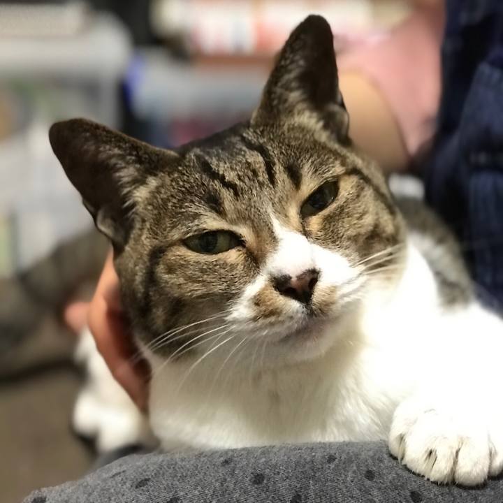 44cf554c 9d18 4f22 9028 37f853793e8d 1525915085658