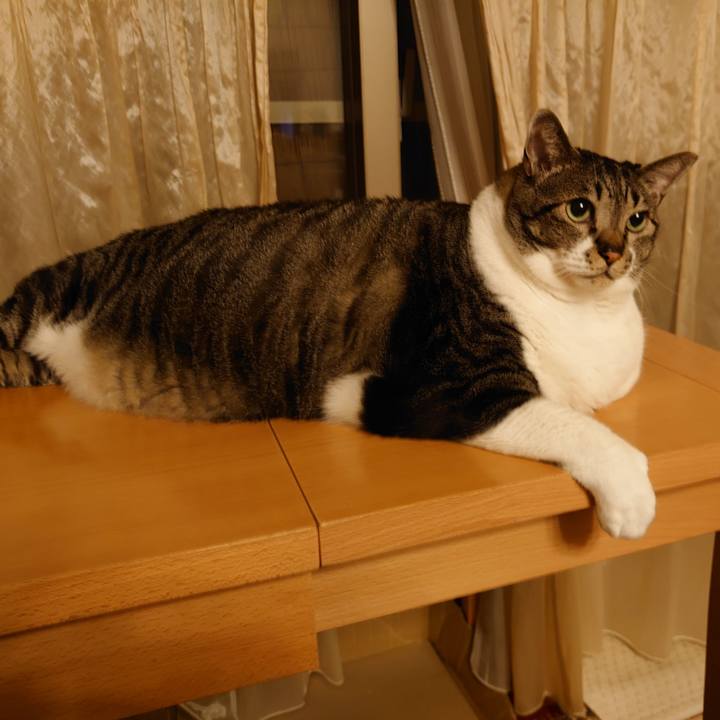 44cf57b1 6f2a 4d43 9e1b ad35776e6c2c 1595167483806