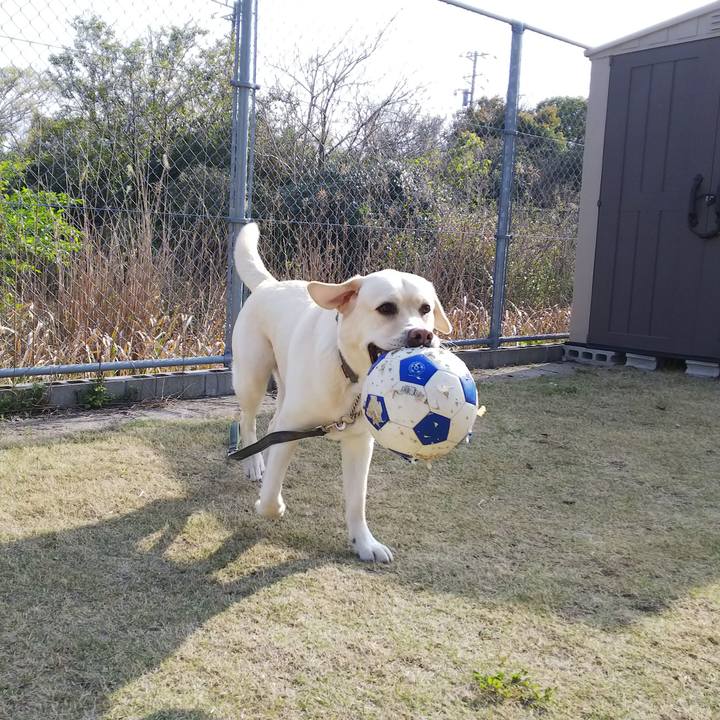 44cfa3de 7d6f 4dd4 8892 a457820aef1b 1522574767193