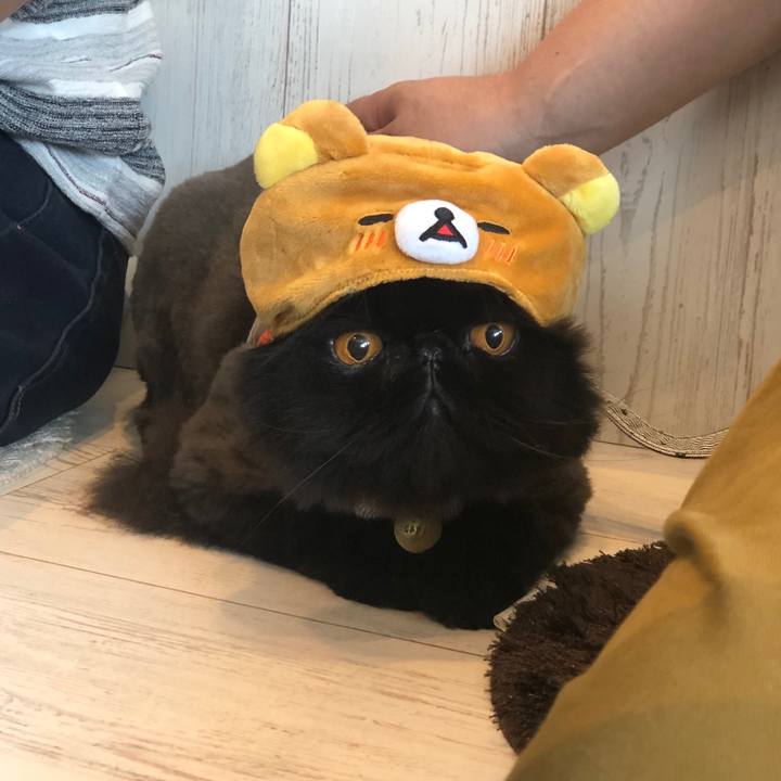 44cfb2ae 92d2 4dde acab cb8c54680191 1625913354599