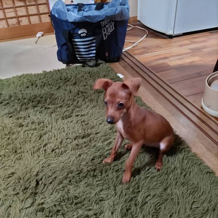 44cfc54e ded5 4c2d 9ccd 95bf175047c8 1667878183671