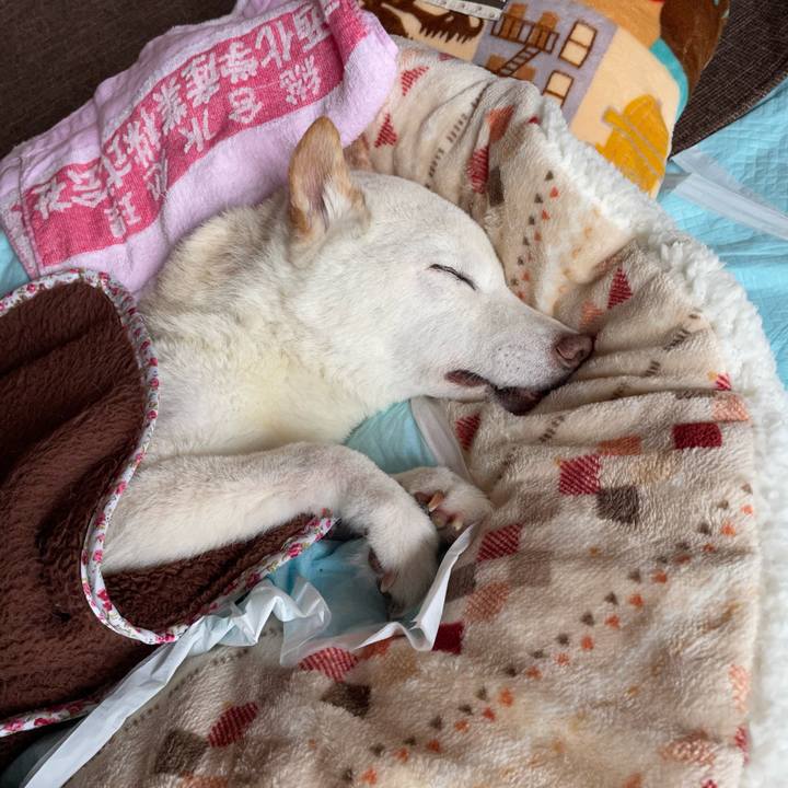 44cfcc5c 5c4f 48ab b387 32cfb50690e1 1669197910715