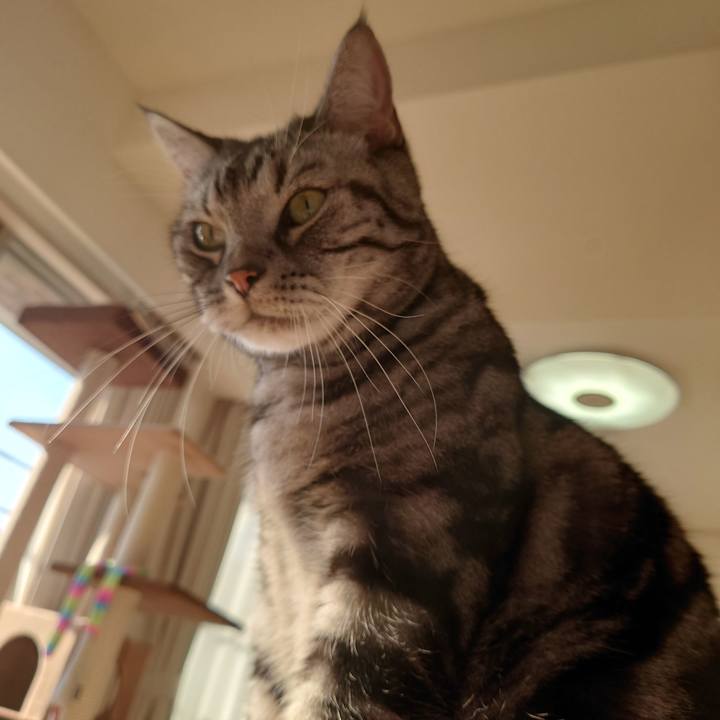 44d00f47 d4ee 4784 bce2 746d8c78f126 1668748179731