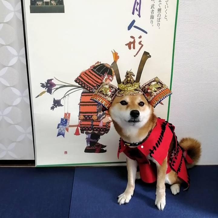 44d025ef 121a 4c1f aa57 7908edeeb6fc 1620360557985