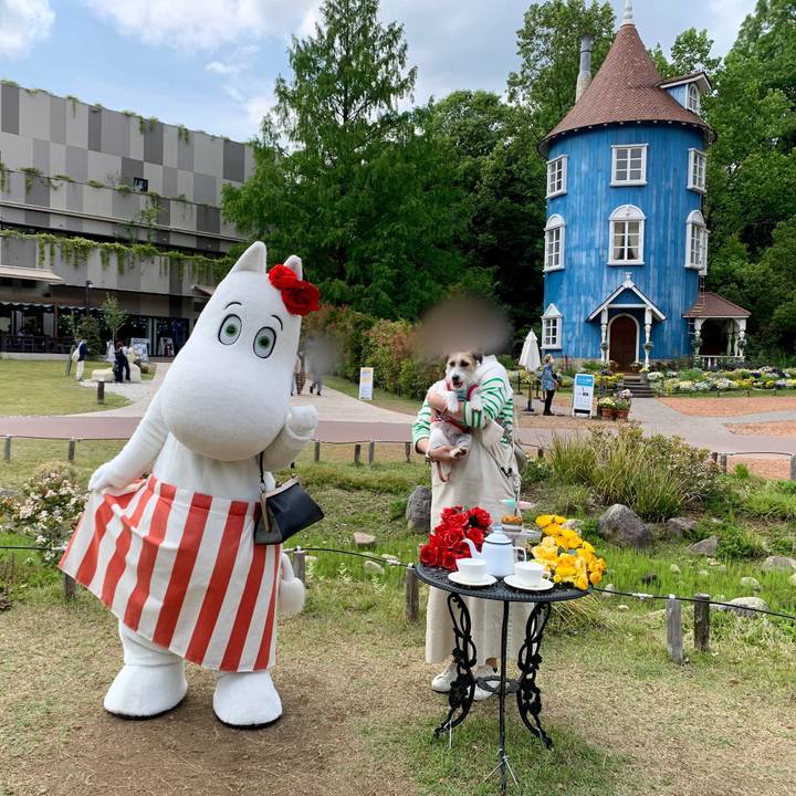 44d03752 8b61 4c1b a332 ffec753e0a3b 1683902485856