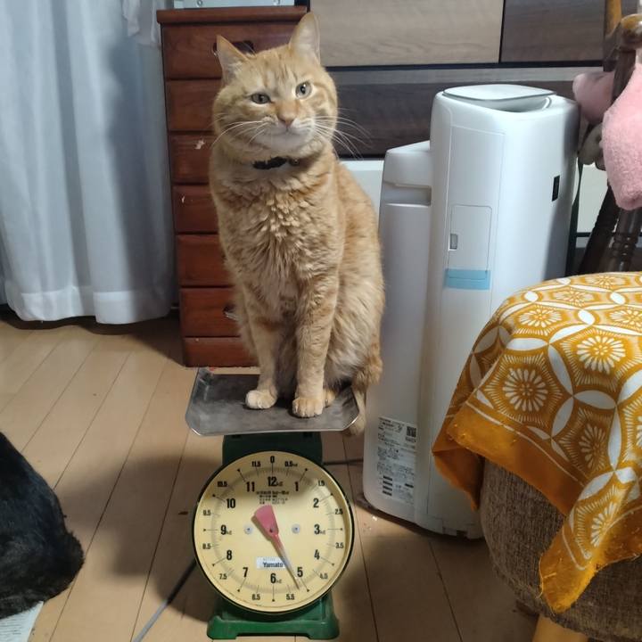 44d037f0 1ff4 4f25 a193 5ec0ee4905d6 1707808872407