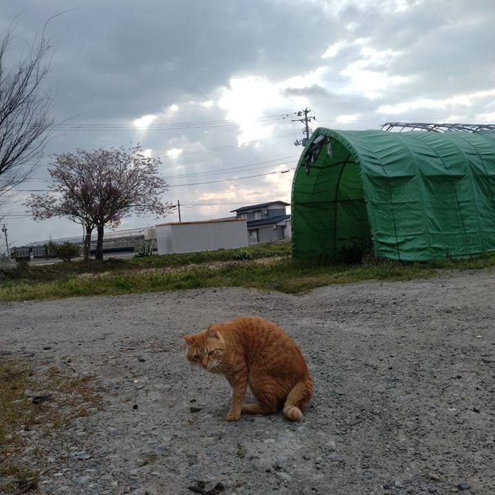 44d0436e c96b 498e b6d8 805157d65889 1682029392949