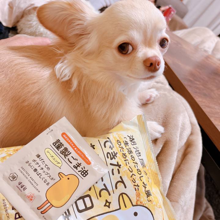 44d05019 7bb6 4638 a3c4 f623cdd469d0 1652082980314