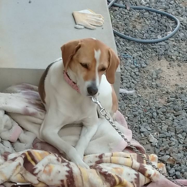 44d085c4 8a66 496a 8a73 4119180d7a1f 1586067502158