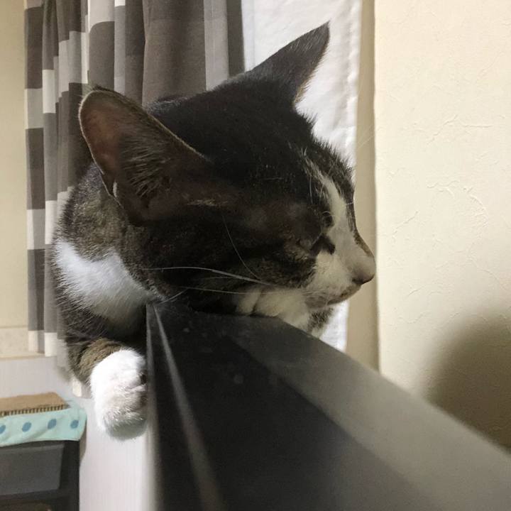 44d08f2d a7de 40d5 ad3f ca2610c339f0 1595731620630