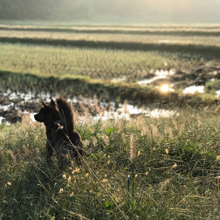 44d0998c a583 4505 8bd7 94ac59212b70 1508799064737