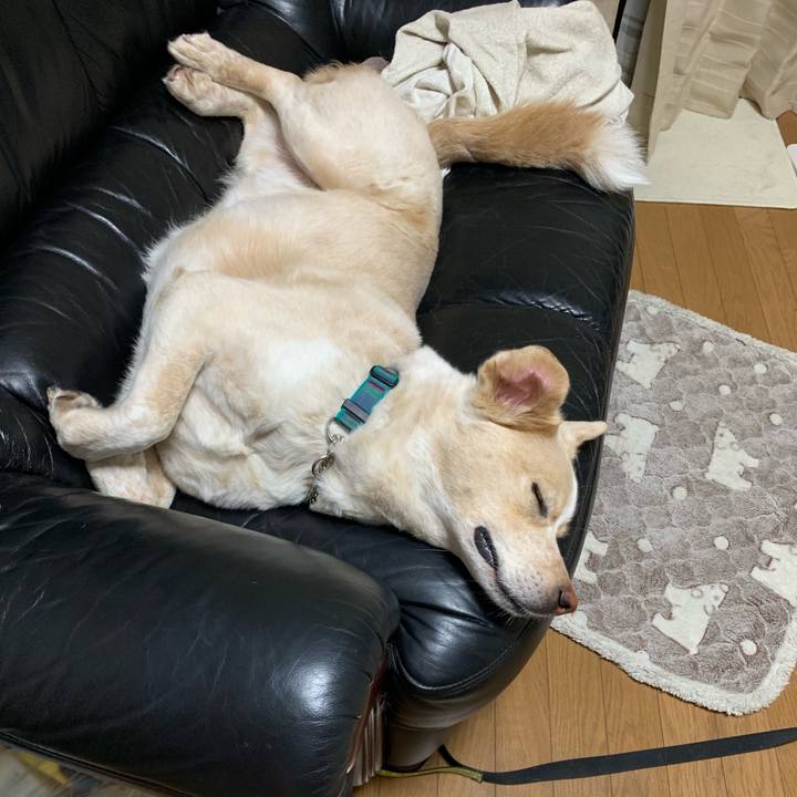 44d0b257 526e 41f2 a1f2 46059e76abb7 1556982846485