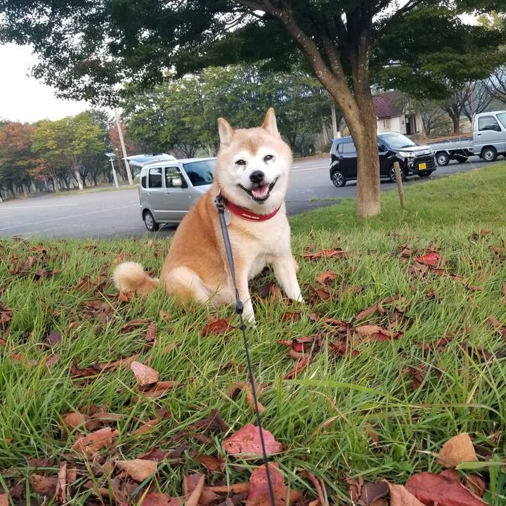 44d0baef 9f1c 443d 8cf4 2c72286e91a5 1728978856063