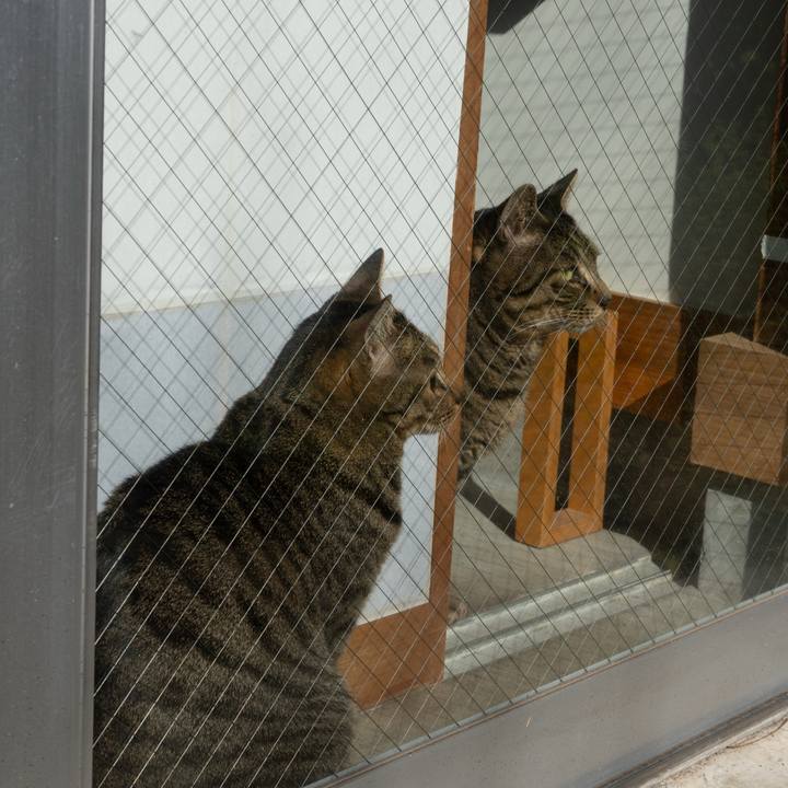 44d0e1f3 34a8 47b3 8b20 9da13e5e552a 1741652447343