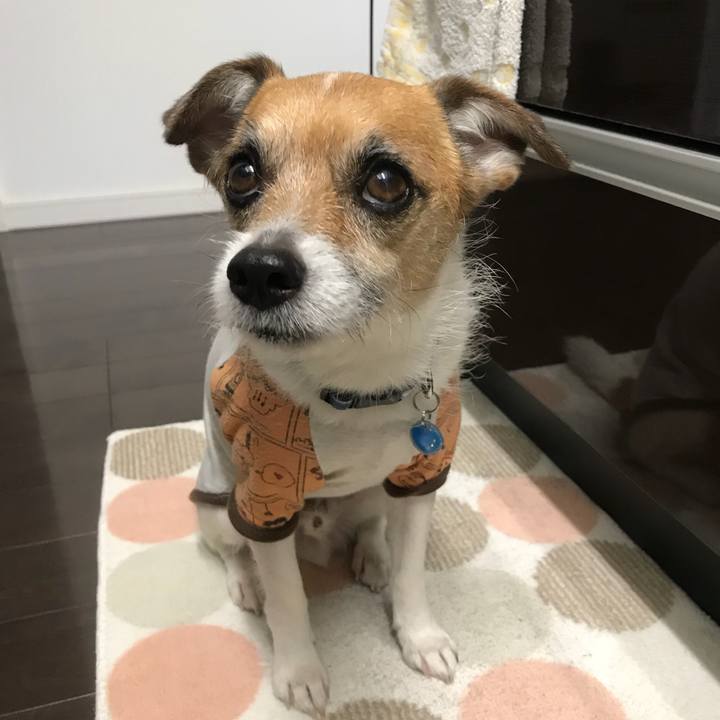 44d0efec bcfc 451f b874 f47bac75de6c 1524789448733