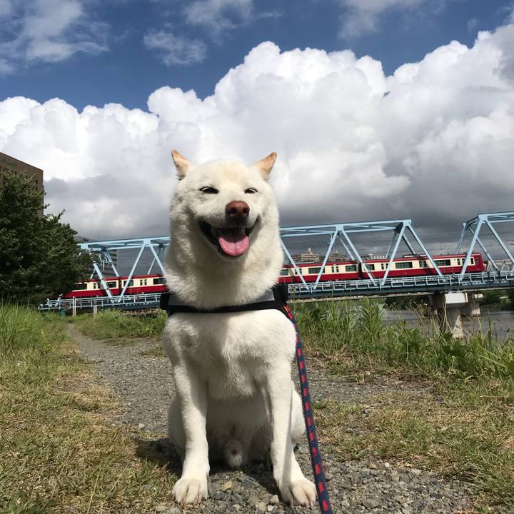 44d0f220 344b 4c81 be40 ca9247718a92 1532909306415