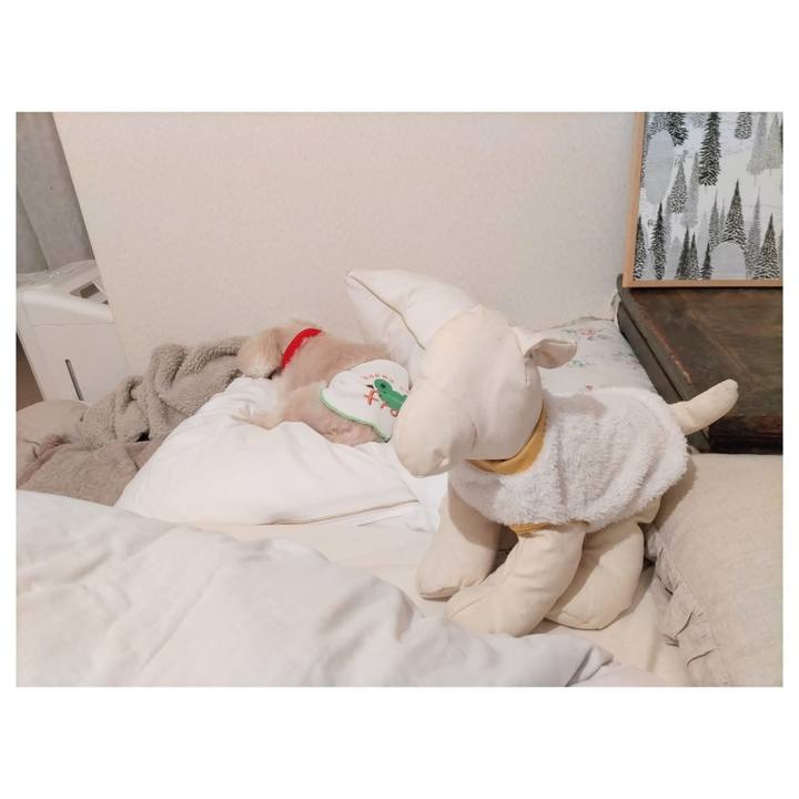 44d1016d bd7b 465b b77b b07d7c9c851f 1688658298324