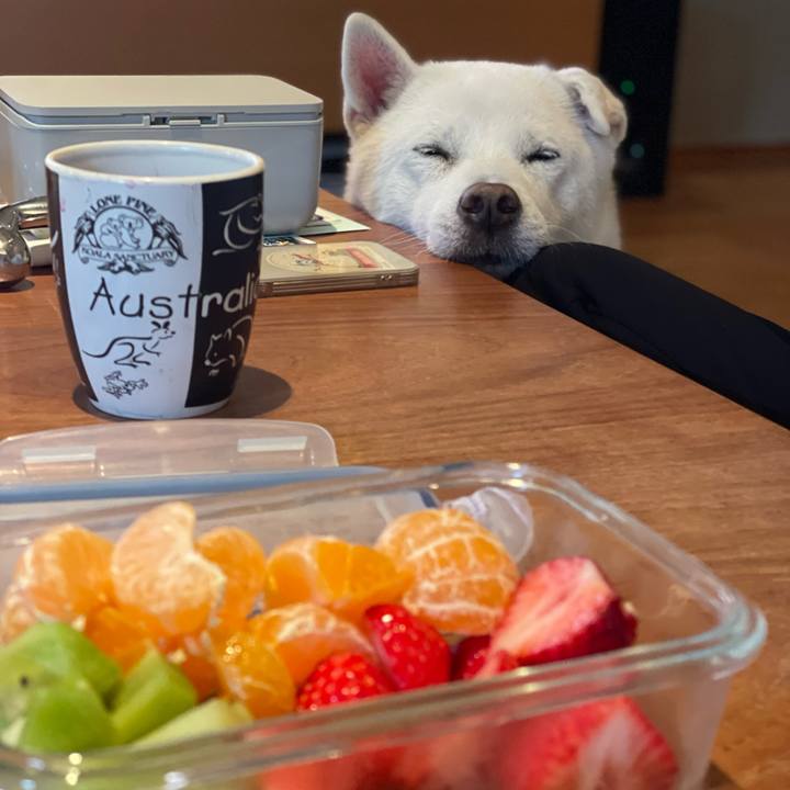 44d1d04a 8117 4f88 bd16 05575e66ba3f 1738052269062