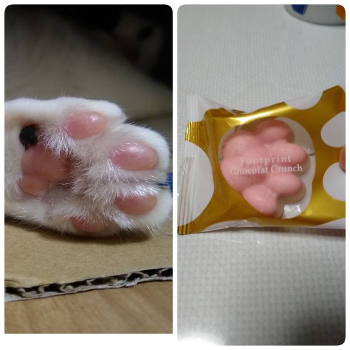 44d1ea4e 588f 4733 972f f4a451d22cd8 1568114679909