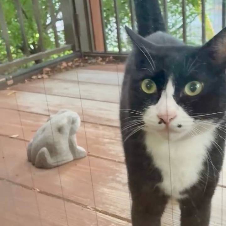 44d22ce6 d59c 48b1 98d8 80ff8950449d 1758967542366