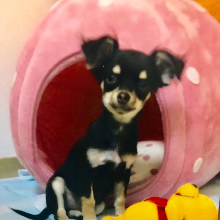 44d2391c 1203 42f3 b731 d71644cbcb84 1539603016763