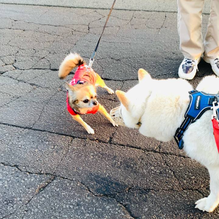 44d26d70 ee71 4fa5 a1f2 ac0d237cca96 1632345906360