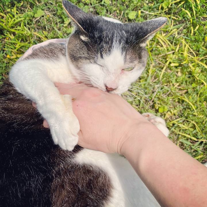 44d28df3 1b00 44cd 920b eb1fece5fb23 1621750204799