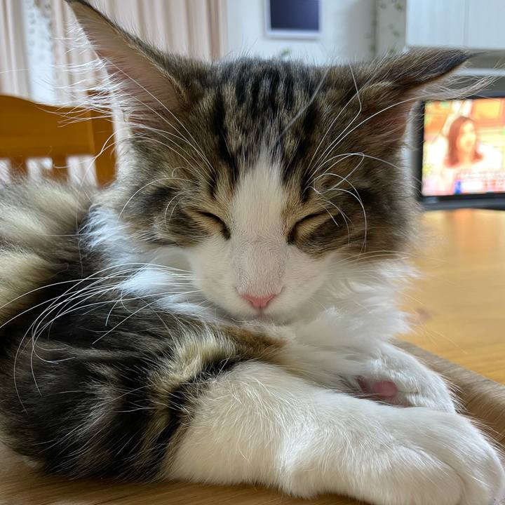 44d2de08 6f9d 4dc3 ac12 f8a9967141f1 1635766812105