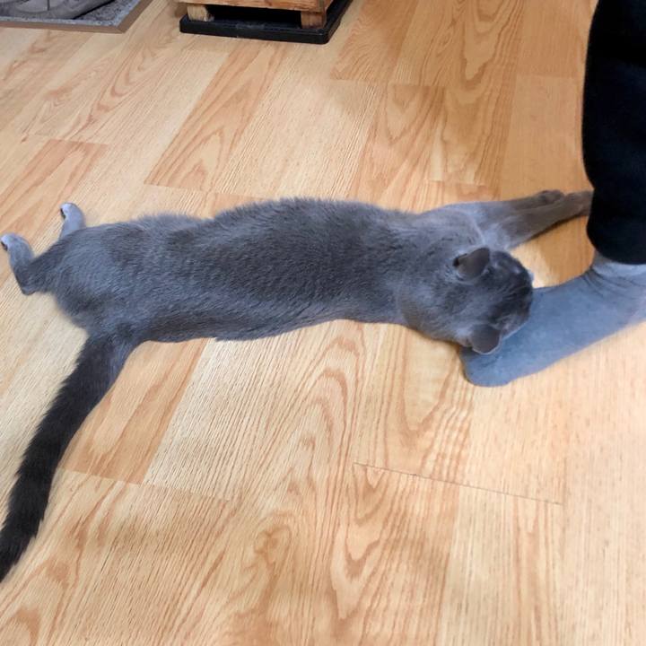 44d31f40 4cf4 4c0f bf2f c2761bd92dff 1606657318206