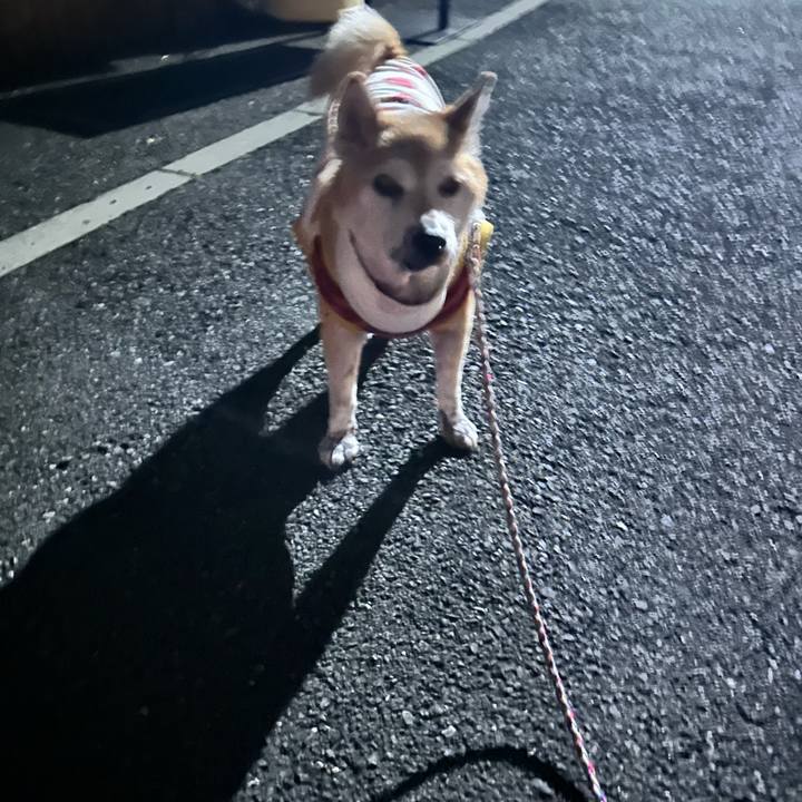 44d336c0 8a43 48ed 8867 67762833d6b3 1764147636455