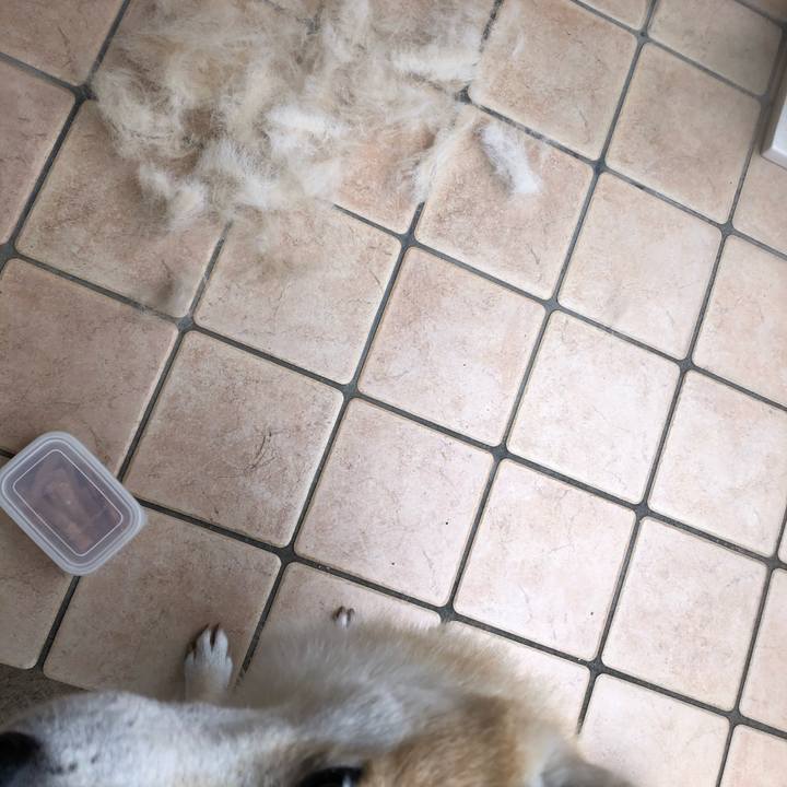 44d37226 abb0 48b0 a773 75bb8127579e 1577001715063