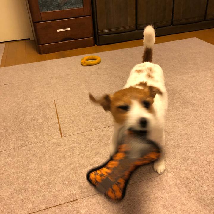 44d3b1f7 dfb2 47a5 a987 0a610d5d920d 1563018064352