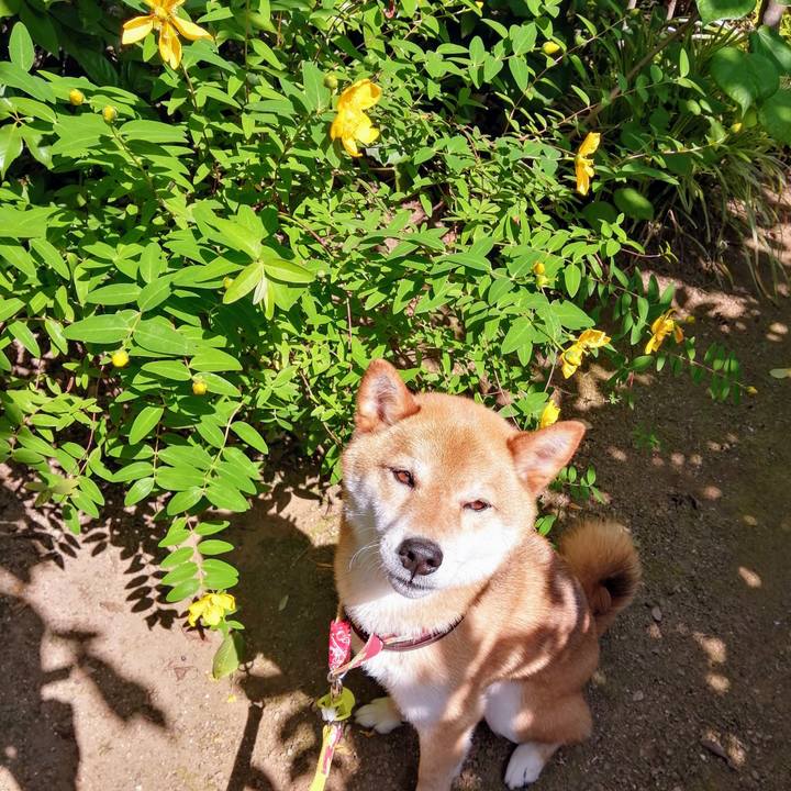 44d4422b 4629 44d3 af61 0583521f9601 1591749337461