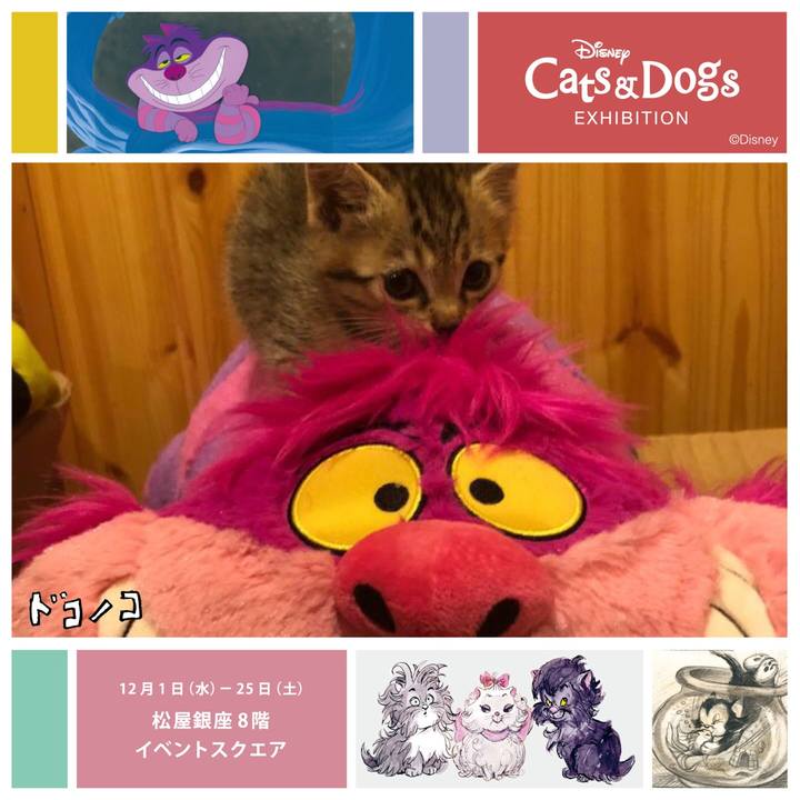 44d4453e 59a2 4dd0 be81 49d6ae5aba2d 1638345860321