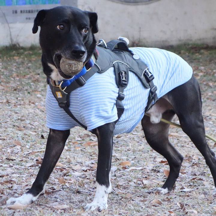 44d449cb a145 4307 b07f 19ba53ab16c7 1640915893173