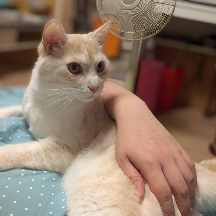 44d49856 77c2 4ead bd40 41472b92b4ce 1721820951558