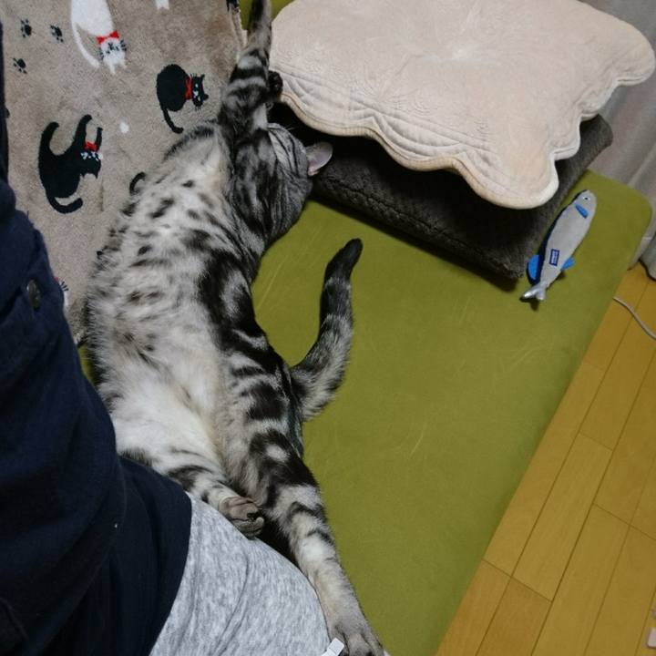 44d499ad d5b4 4e7a 8eff 34c9b5eee398 1516954122581