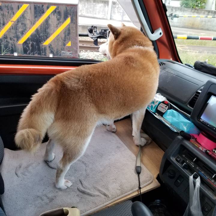 44d4a69f fbaa 4e05 9ce6 2a6c20b489b1 1632736579719