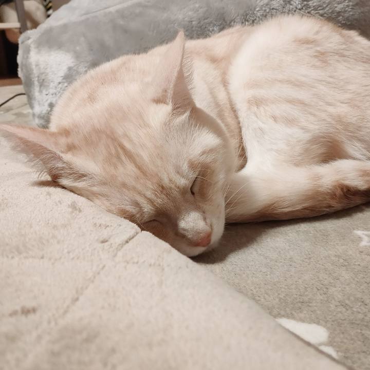 44d4c52a 3692 42fe 802d 1274bd51c939 1674465720100