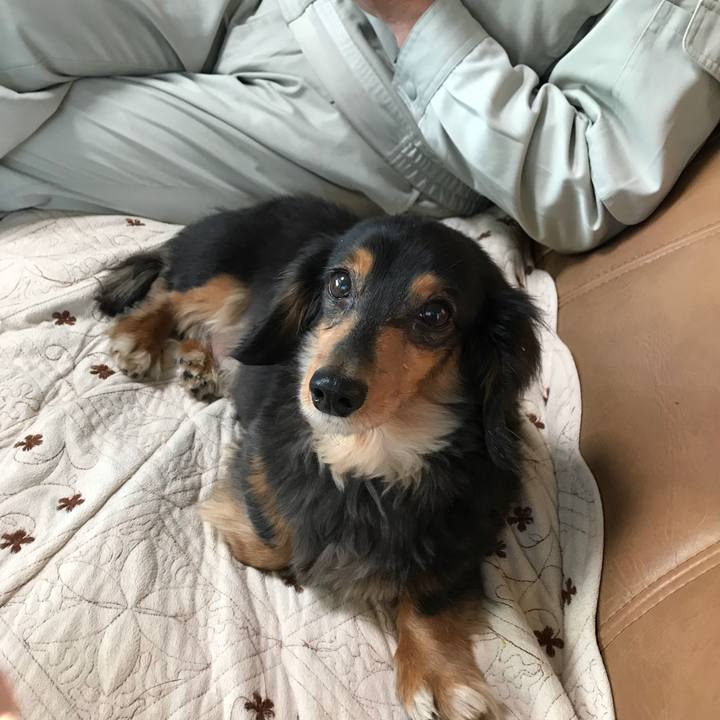 44d4e540 aaf3 4da2 9c27 5bb7b02c6279 1513636071233