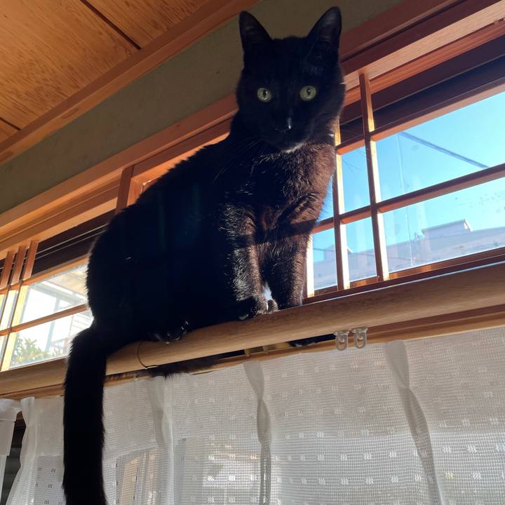 44d4ee4a 1150 4396 afba f2e1863c4dad 1612317136296