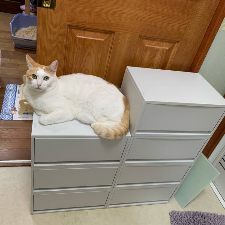 44d50d5d a3b3 4fb4 b7b2 1a7b89d2c767 1629812655408