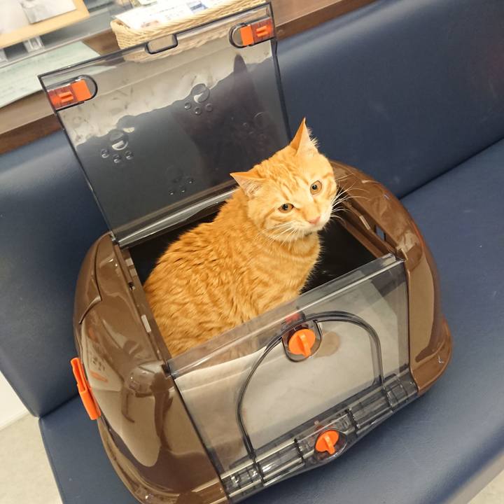 44d559e0 4385 4d02 8818 2b6ec098999e 1645522836389