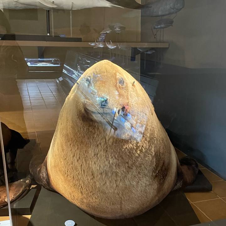 44d565dd 3468 41ff 93fb 965678e6320b 1660485977818