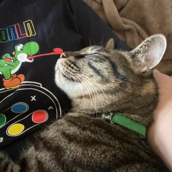 44d576ea f9eb 4838 bf2e 4a1e3e99d6f3 1646870763120